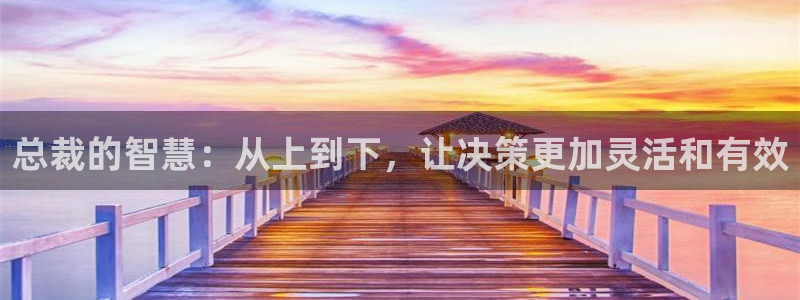 51漫画网站在线观看：总裁的智慧：从上到下，让决策更加灵活和有效