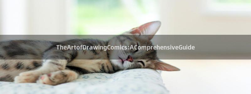 打开51漫画：TheArtofDrawingComics:AComprehensiveGuide